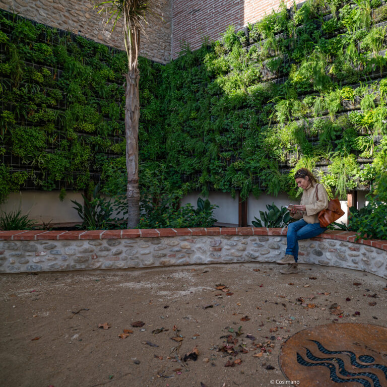 Jardin (1 sur 1)-11